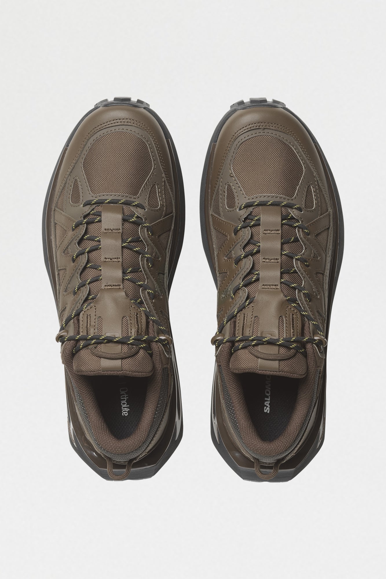 Odyssey Elmt Low Wren Delicioso