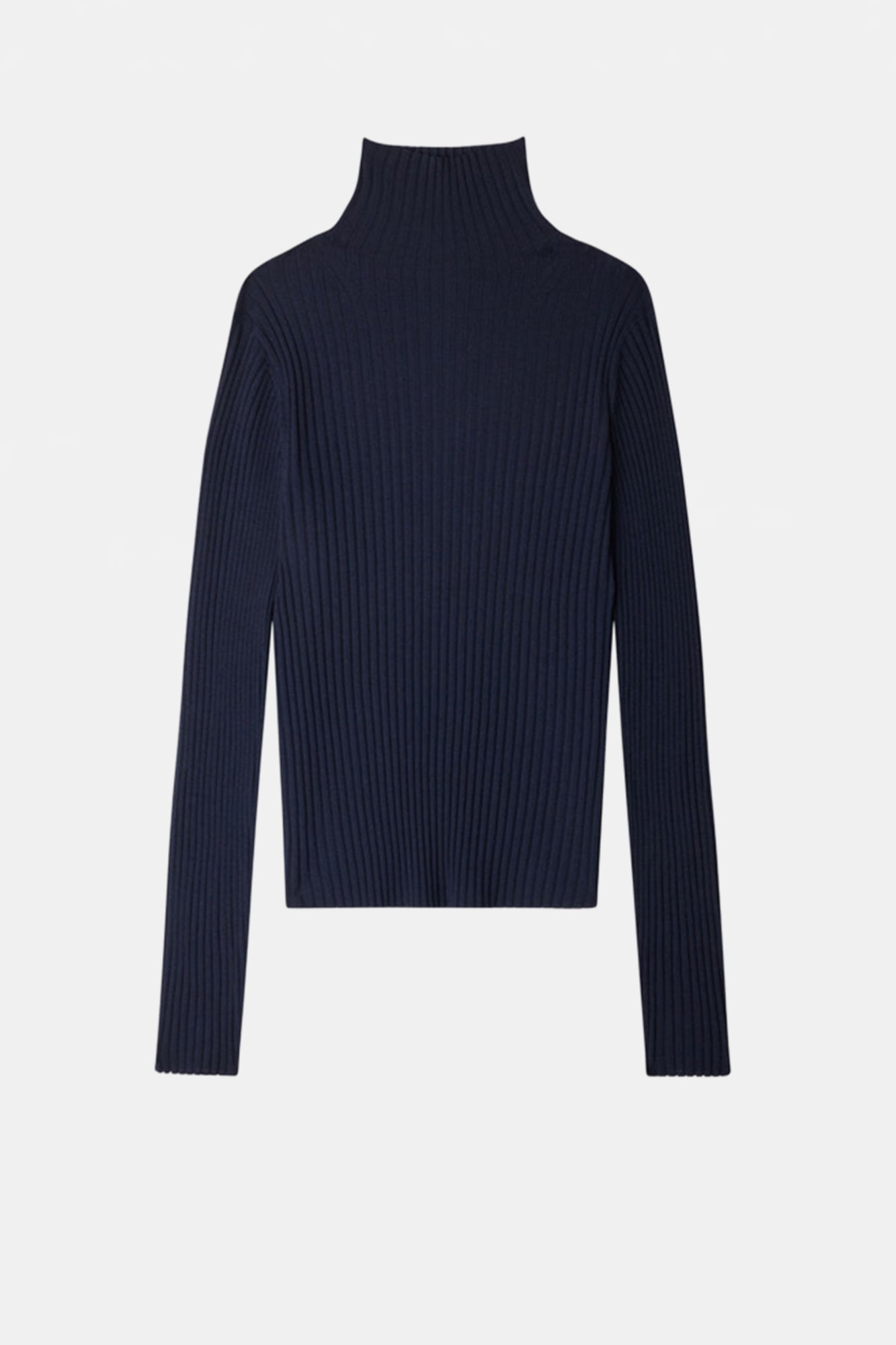 Filao Turtleneck Top