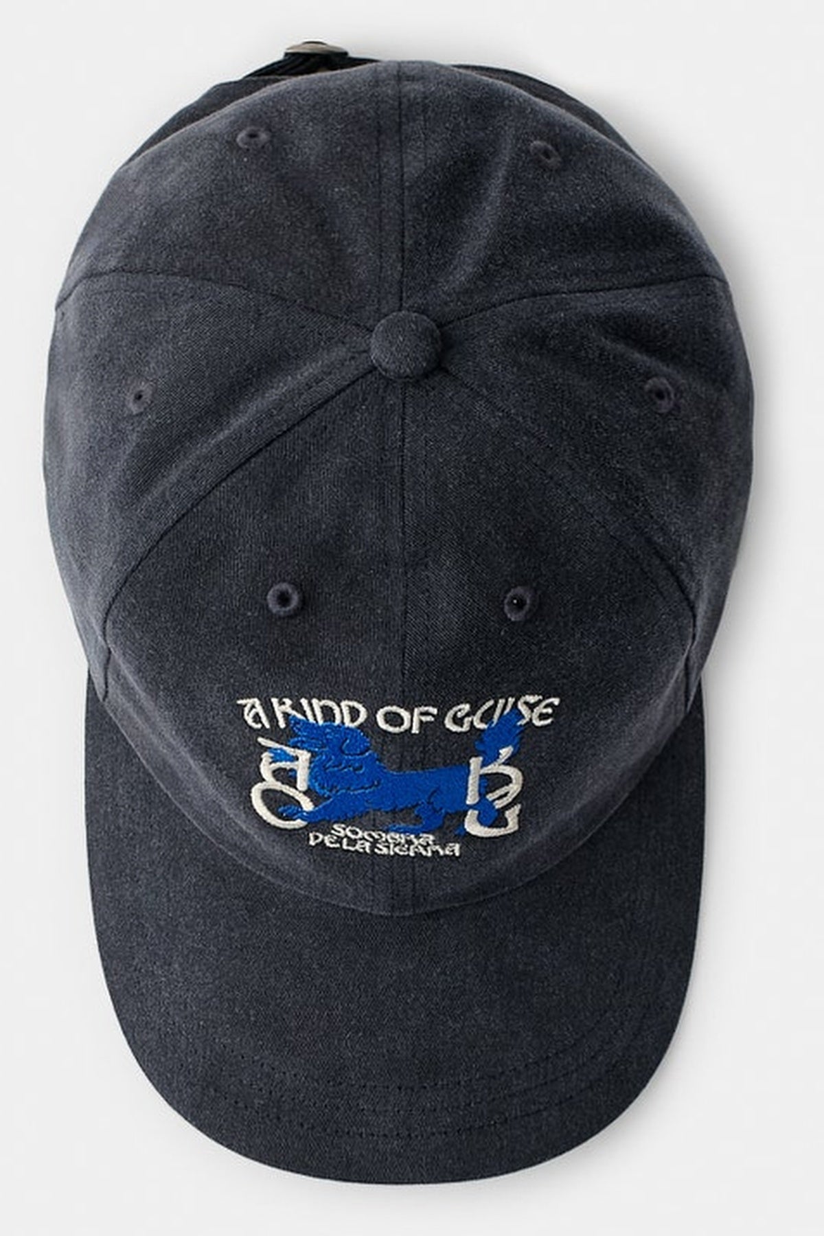 Sombra Souvenir Cap Night Navy