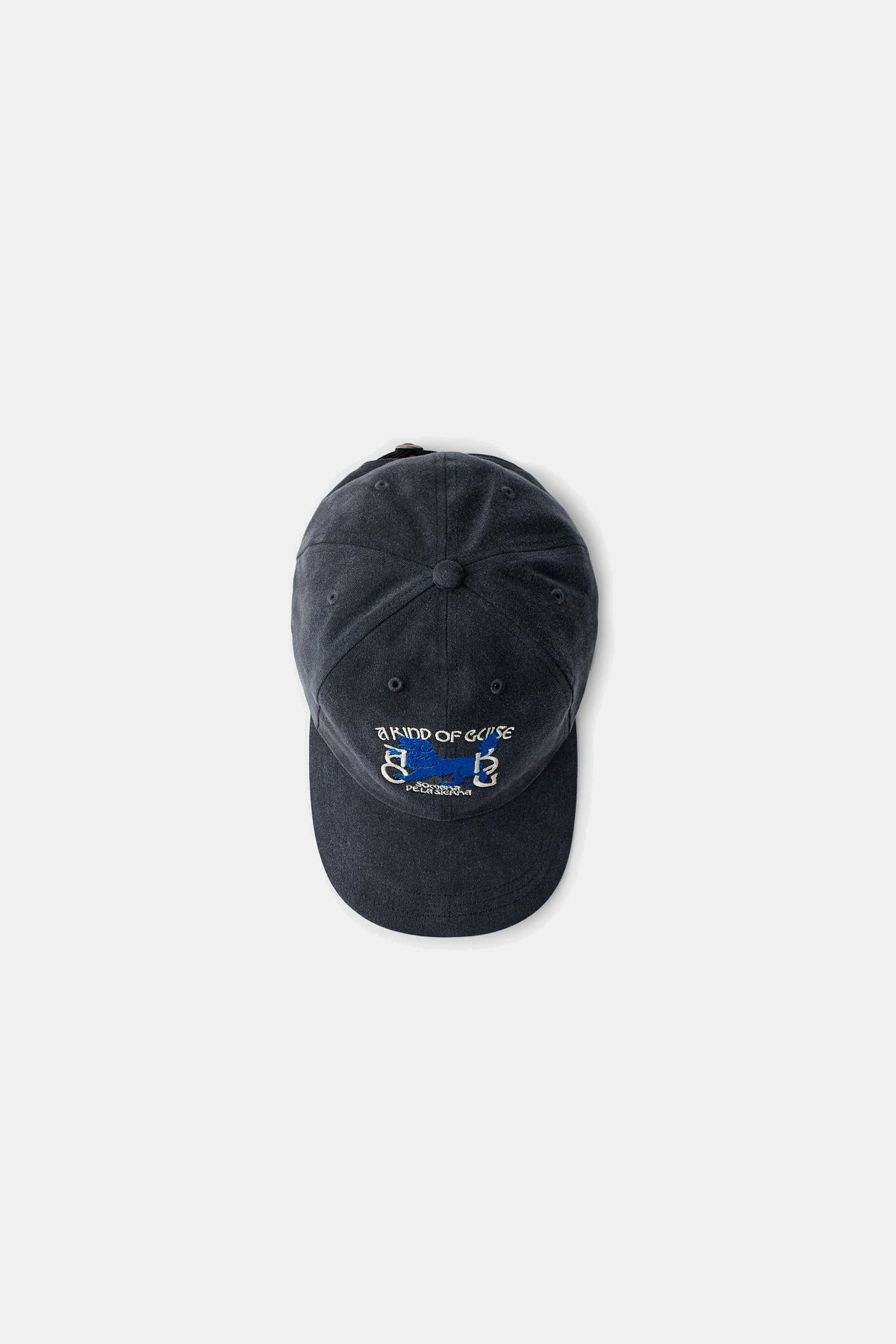 Sombra Souvenir Cap Night Navy
