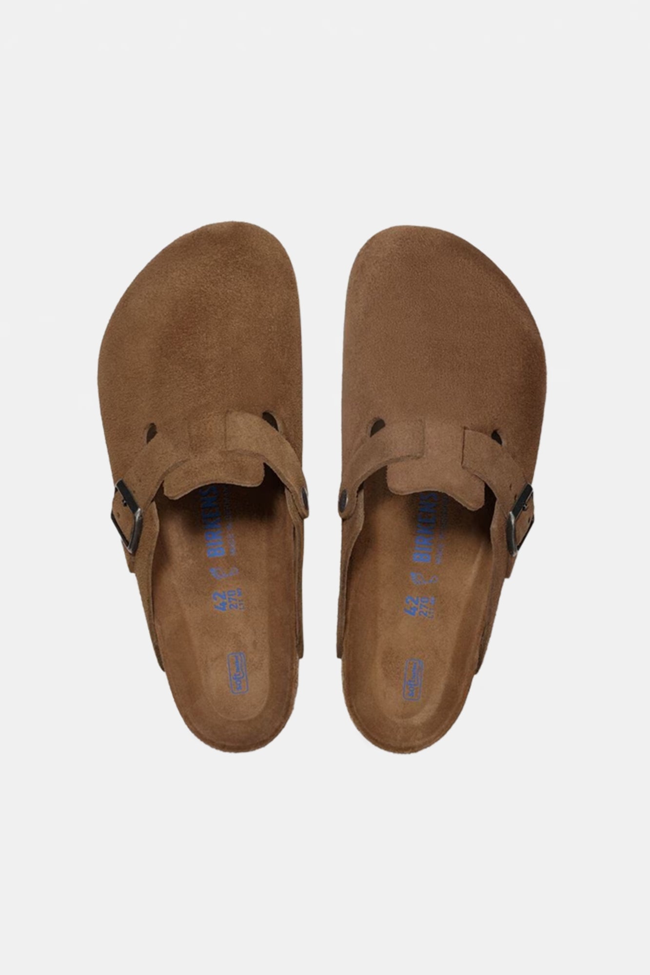 Boston Suede Dark Tea Man