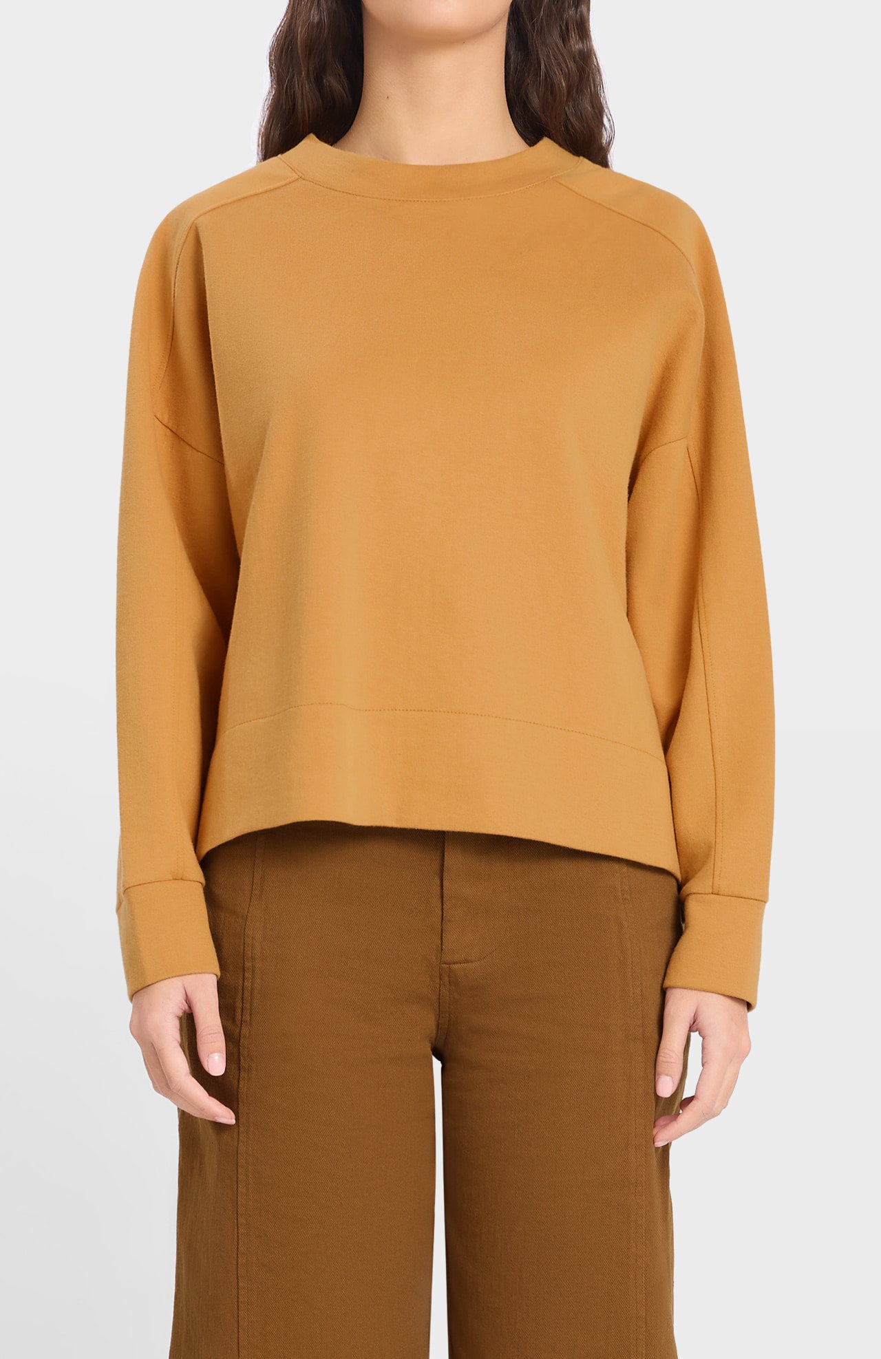 Arbonne Sweatshirt Pumpkin