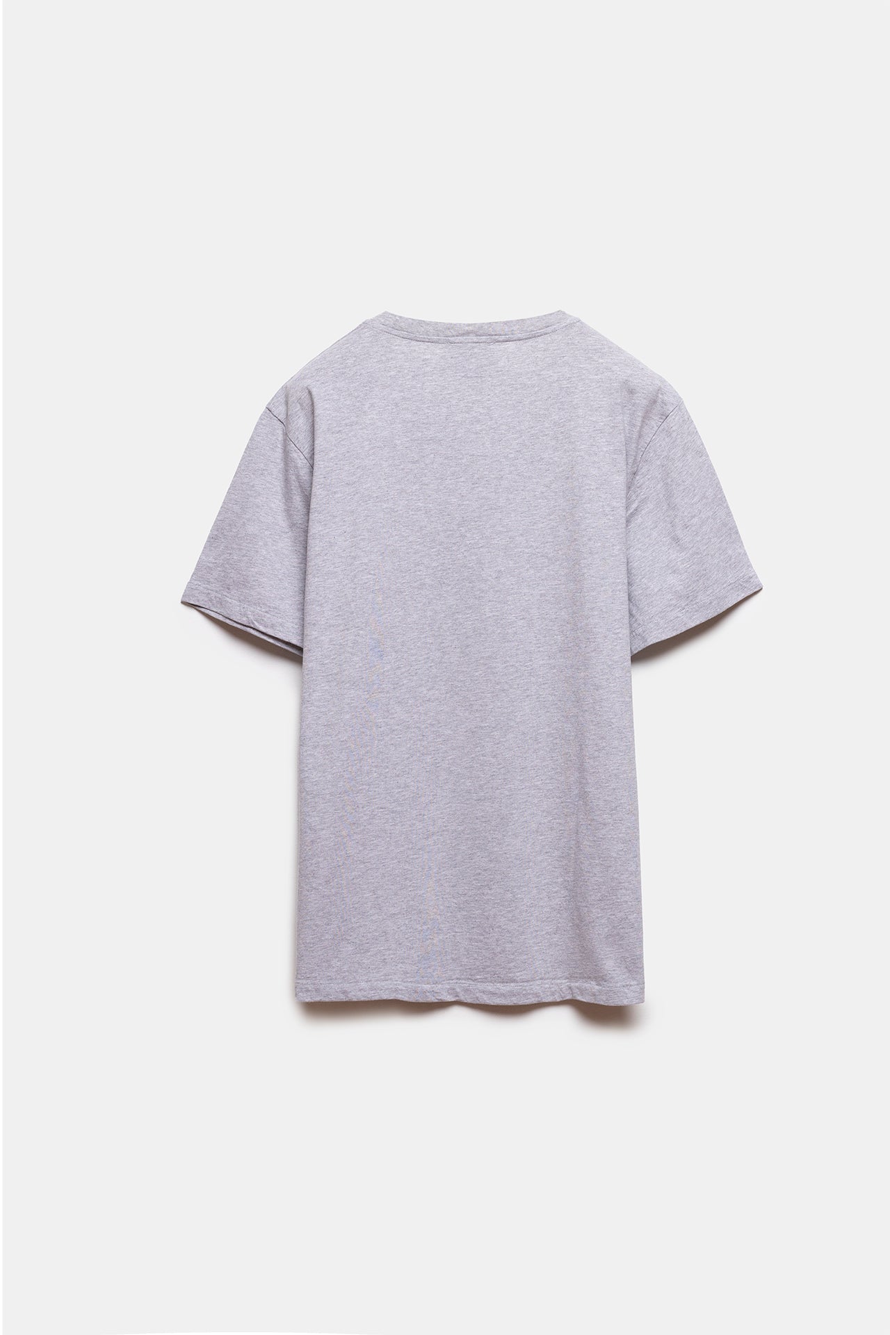 Dostum T-shirt Grey Melange