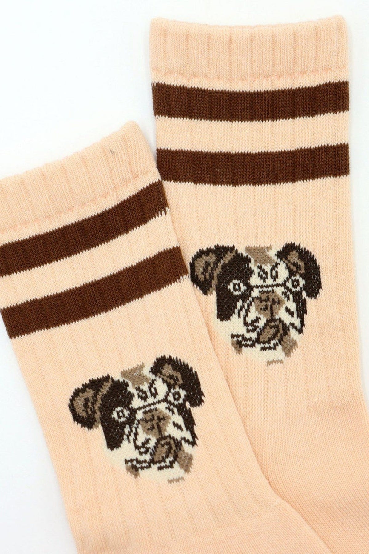 Dog Socks Orange
